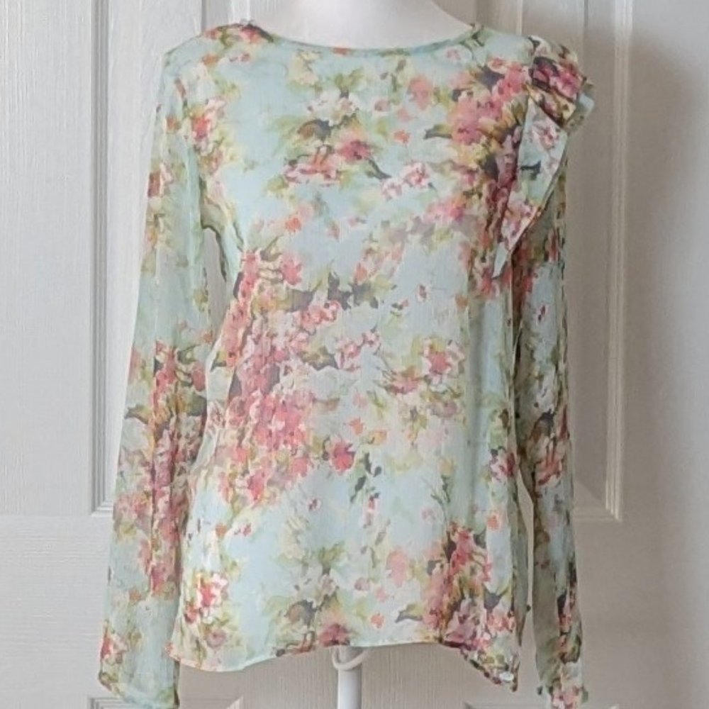 ZARA WOMAN Woman's Sheer Long Sleeve Blouse Top Size M  Pastel Floral